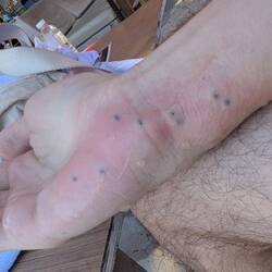 Until disaster struck in the form of a sea urchin. Poor Elliot!