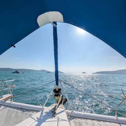 There was plenty of shade