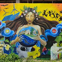 Die Whale Sharks sehe ich mir morgen früh an.