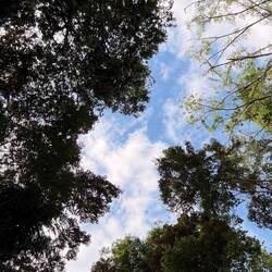 Sometimes you just need to look ⬆️ and say thanks to the God that created this beauty!