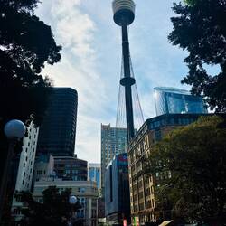 Sydney Tower