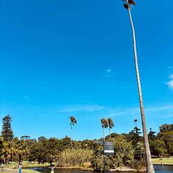 Royal Botanic Garden