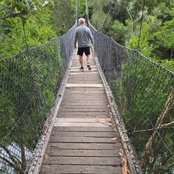 Rickety suspension bridge. I let him go first 🙃