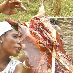 Das ist Ratte, wie am Straßenrand verkauft