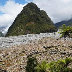 Fox Glacier - ein schmales Band, das bis auf 300m ü.M. Hinunter fliesst