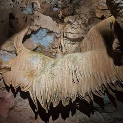 Die Natur macht schon tolle Dinge