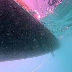 That'll be a nice bottom! When it's squeaky clean anyway! Who doesn't love a nice bottom ? 😜