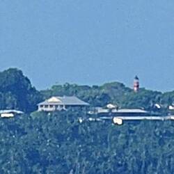 Fortunately Mark's phone has better zoom . . . this is the most we could see.