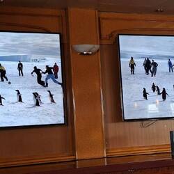 Expeditionteam spielt Fußball, Pinguine wollen mitspielen