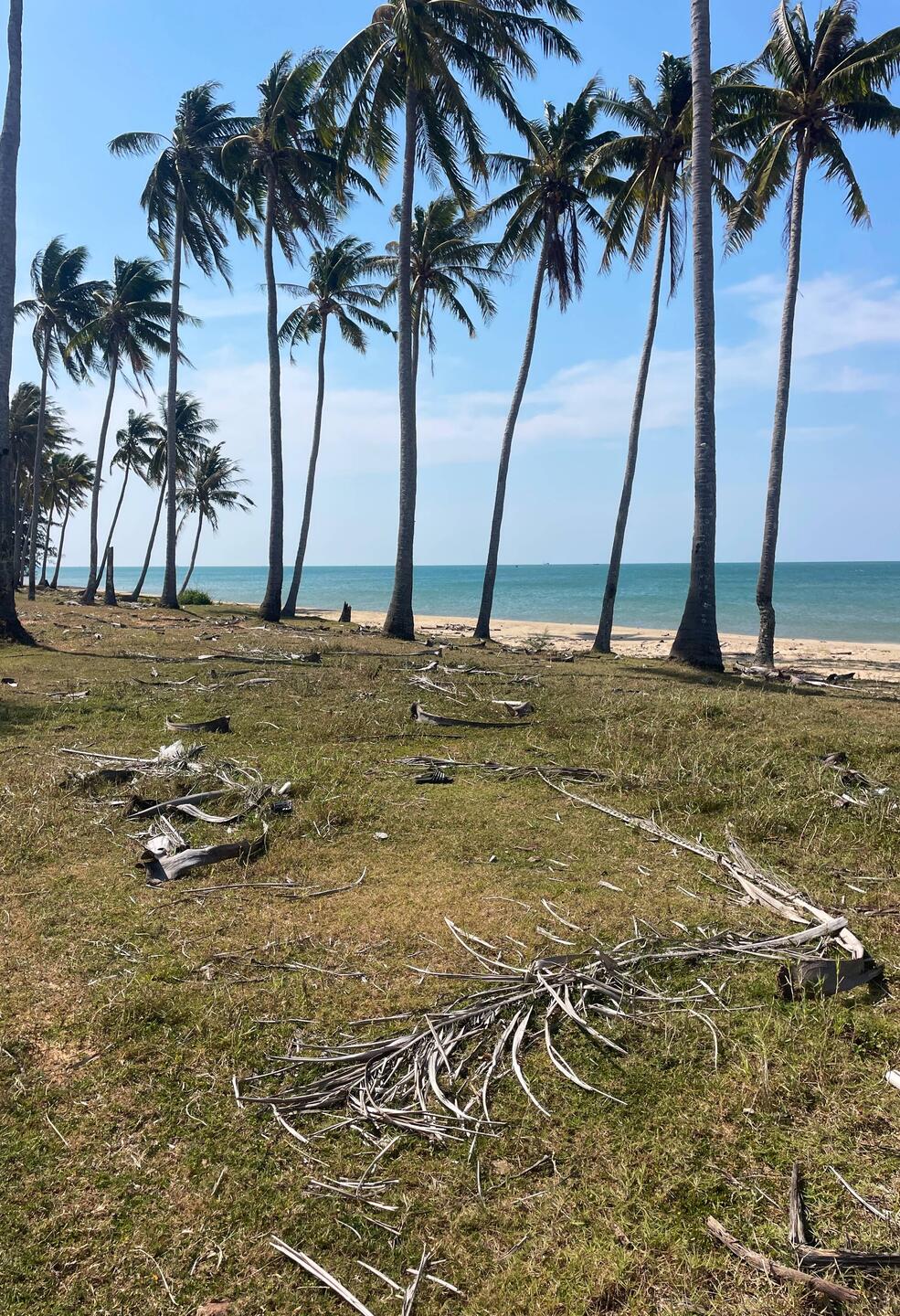 From resorts, vacant undeveloped beachfront