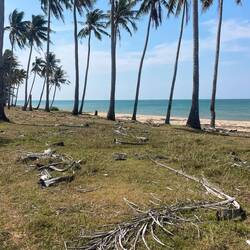 From resorts, vacant undeveloped beachfront
