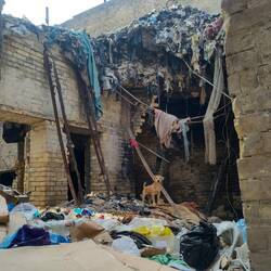 Here and there, the marks of the past are still present. This cute one though feels very alive here