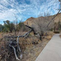 Der Bonita Creek Loop Trail.