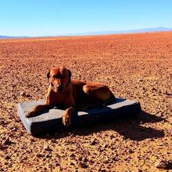 Quappo ist auch zufrieden