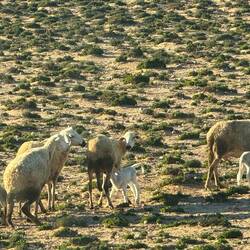 Was vorn reinpasst muß hinten ... 🙈