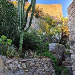 Aber fast da, wir haben die Burg gefühlt fast umrundet