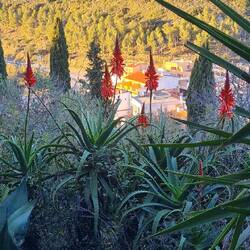 Das Land leuchtet! Vielleicht weil wir bald weg sind 😢