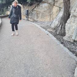 Wo sind die Sukkulenten?