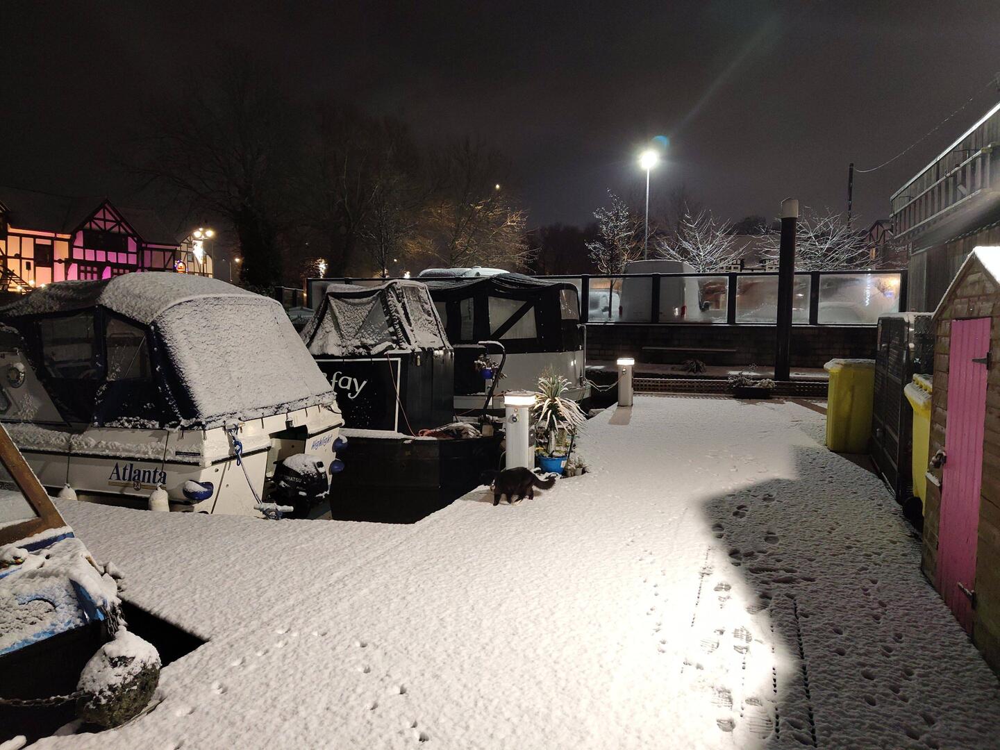 Mr Whiskers exploring the snow covered Northwich Quay on our first night back
