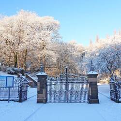 Verdin Park- a favourite of Leo's