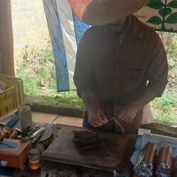 Tabakblätter vorbereiten