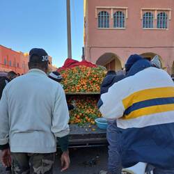 Frische Mandarinen auf der Ladefläche