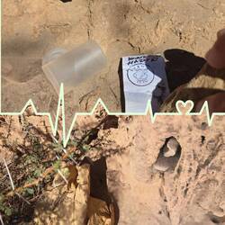 ...und natürlich auch ein Cache musste sein...