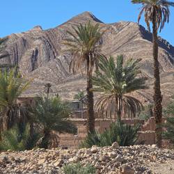 Kleine Oase, im Hintergrund sind die geologischen Strukturen gut sichtbar.