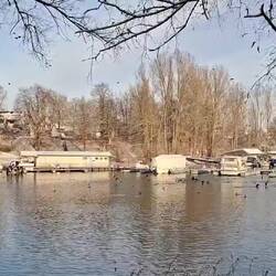 Der Mondorfer Hafen.