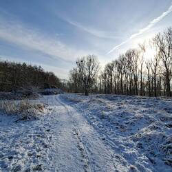 ...kurz vor der Siegfähre.