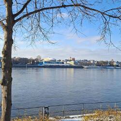 ...und auf die berühmte Bonner Beethovenhalle.