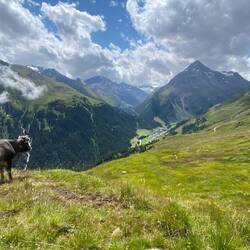 Blick auf Vent