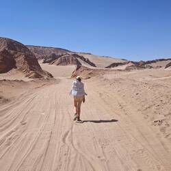 Der erste Mensch auf dem Mars?