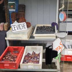 Meerestierverkauf direkt an der Bushaltestelle - Snack to go