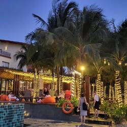 Zone farniente sous sous cocotiers 🌴