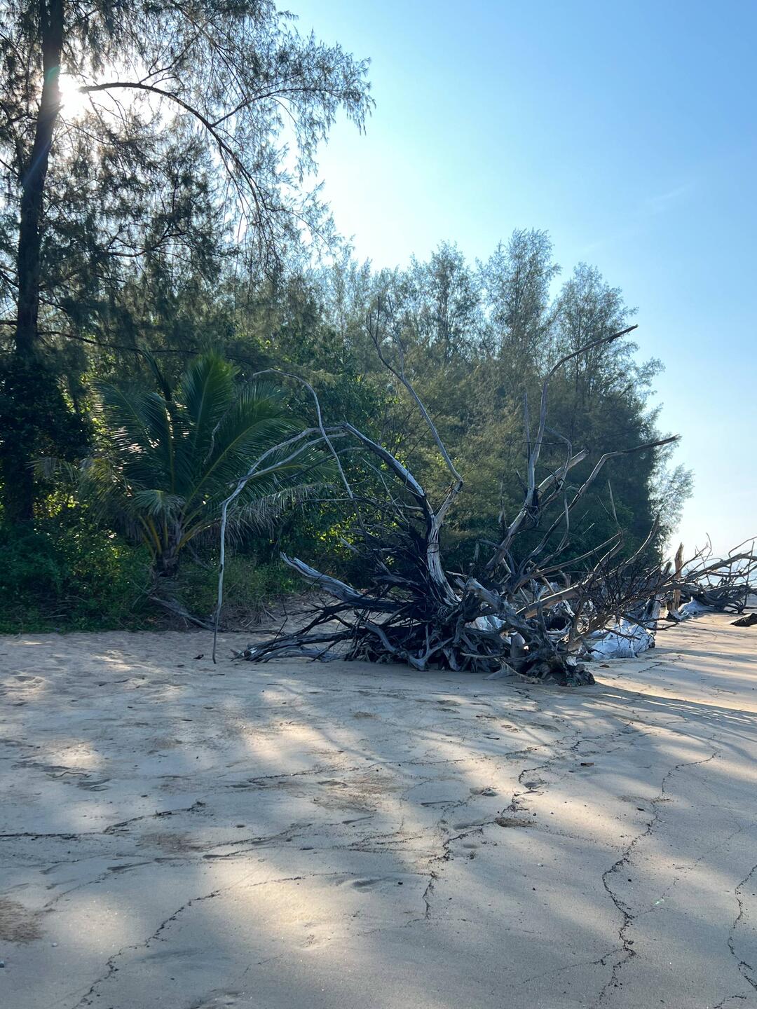 Impressionen am Strand