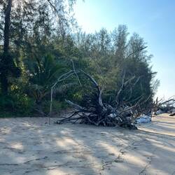 Impressionen am Strand