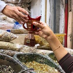 Maskat Souq: Hier wird das aromatisierte Weihrauchholz ausgewählt