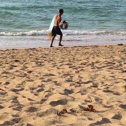 Ein Fischer der mit ganz kleiner Ausbeute nach Hause geht