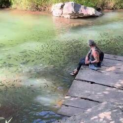 Les poissons ont faim 😋