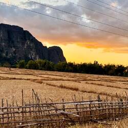 Coucher de soleil sur les rizières 🌾🍚