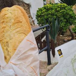 Baguette zum Frühstück und schon auf dem Jakobsweg. Wir sind der Zeit also 3 Monate voraus