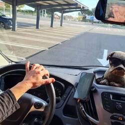 Und jetzt noch kurz Sonne tanken! Warum zeigt der Pfeil der Einbahnstraße auf Moni?