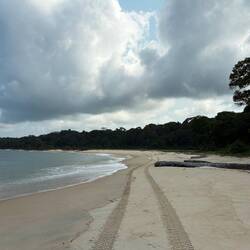 Einsame Spuren entlang der menschenleeren Küste...