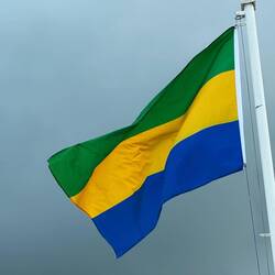 Landesfarben von Gabun