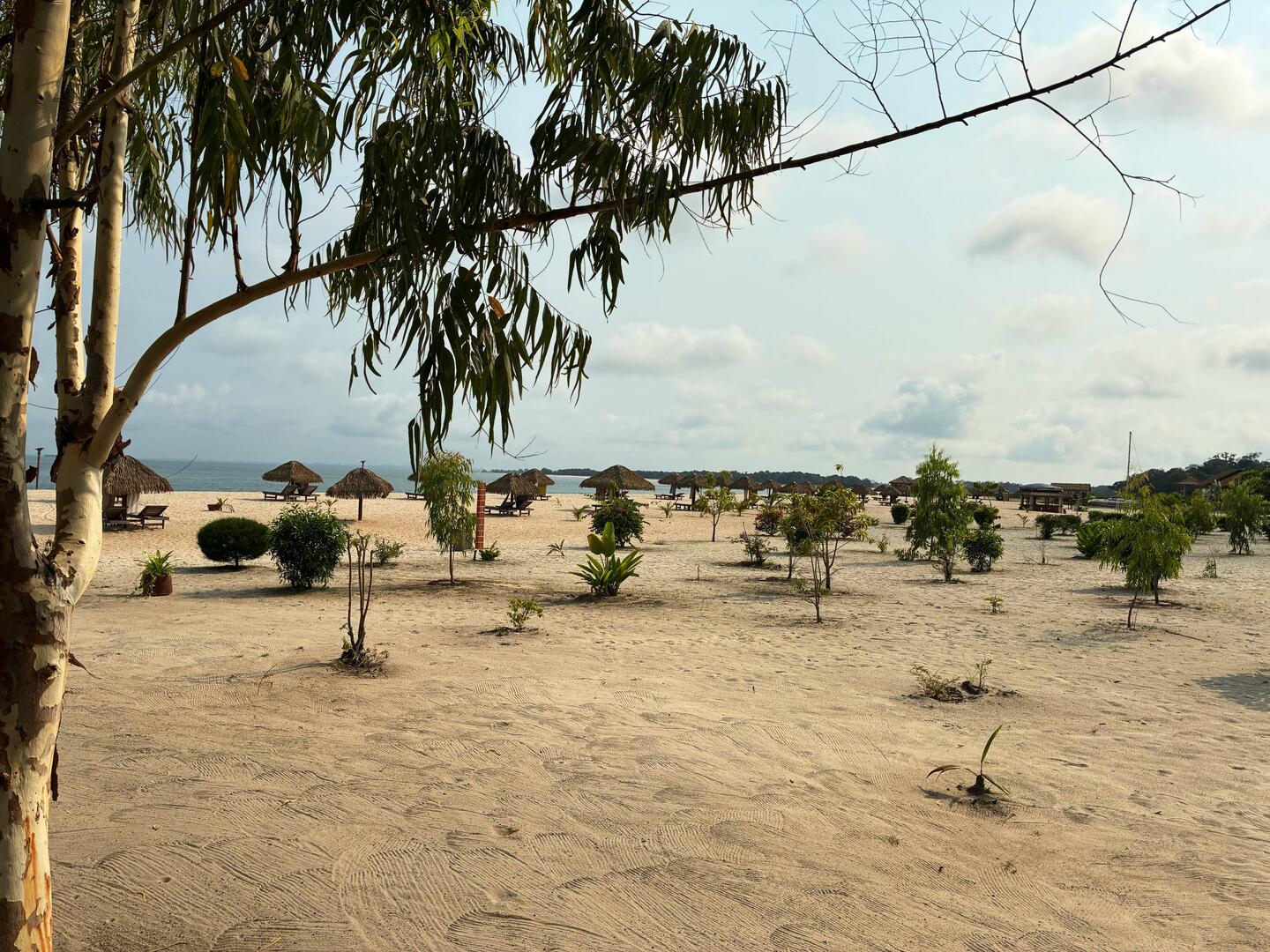 Am Strand von Pongara