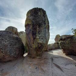 Man sieht überall den Trail den man laufen muß.