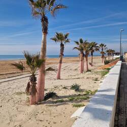 Da hat einer die Palmen rosa angemalt😆