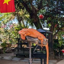 Reptilien im Reptilien-Café 🦎