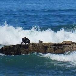 Der Fischer scheut keine Gefahren👍